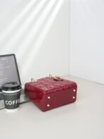 Dior elegant lambskin handbag-168078 - 图片 4