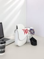 Dior Pre-Spring Collection Saddle Bag-168070 - 图片 2