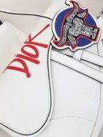 Dior Pre-Spring Collection Saddle Bag-168070 - 图片 7