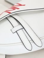 Dior Pre-Spring Collection Saddle Bag-168070 - 图片 9
