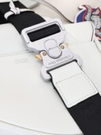 Dior Pre-Spring Collection Saddle Bag-168070 - 图片 8