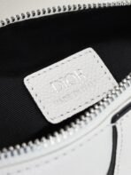Dior Pre-Spring Collection Saddle Bag-168070 - 图片 6