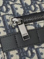 Dior Safari leather handbag-168066 - 图片 7