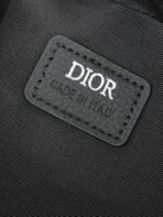 Dior Safari leather handbag-168066 - 图片 9