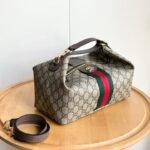 [New] GUCCI Vanity Series Medium Handbag